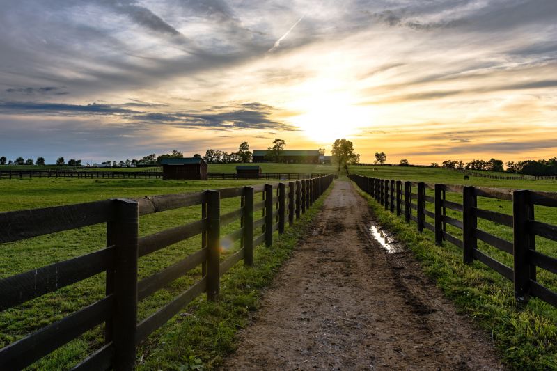 Farm Fencing Installation detail