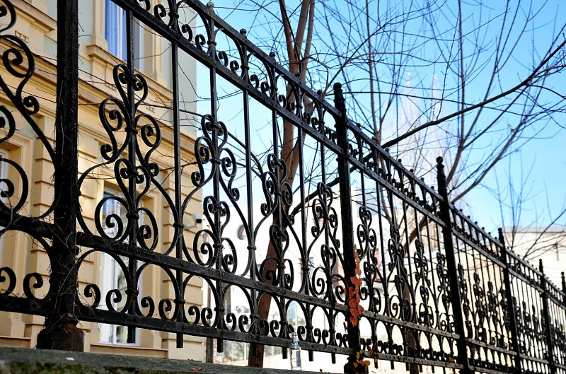 Ornamental Iron Fence Service detail